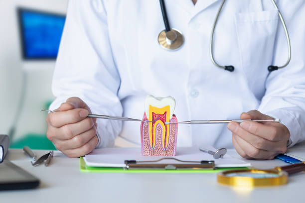 Best Mobile Emergency Dentist in Forks, WA